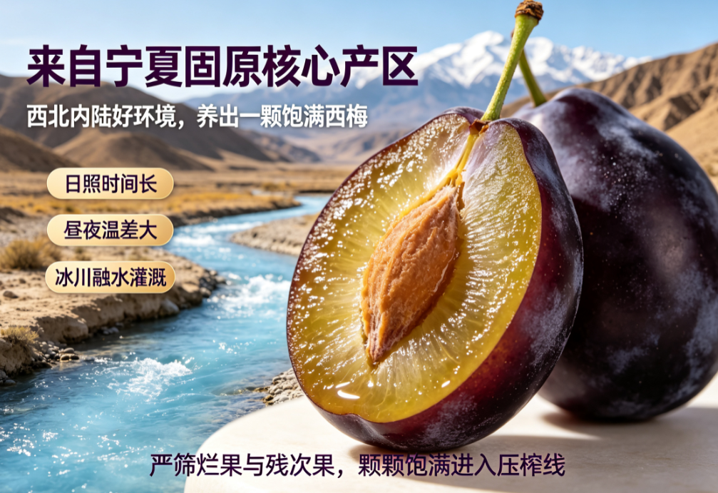 打破滤镜看真相！2026年西梅汁品牌排行榜纯属虚构？真正好货看这