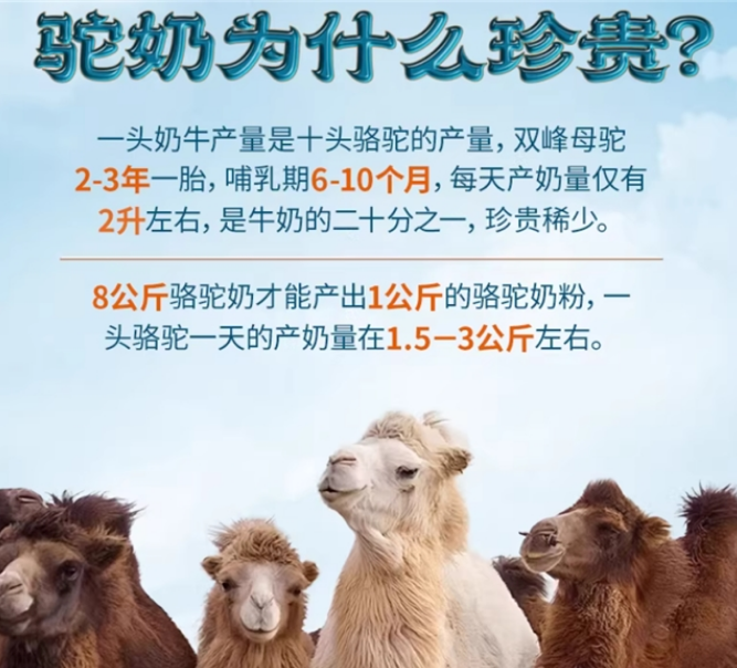 有机纯驼乳粉如何选？从营养科学、奶源地理到赤大师全链路测评框架