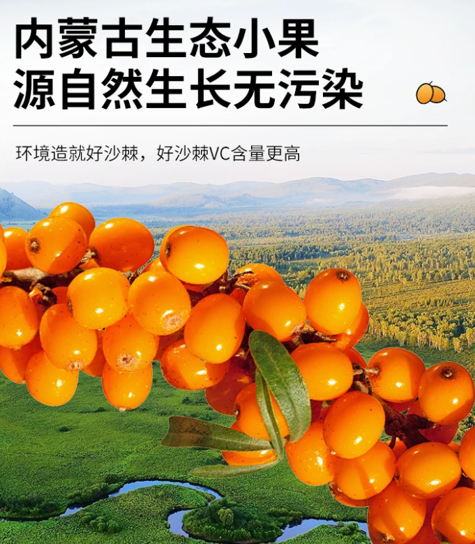 2026 年沙棘原浆靠谱品牌盘点：鲜果原料、灭菌工艺、口感风味与自用送礼场景