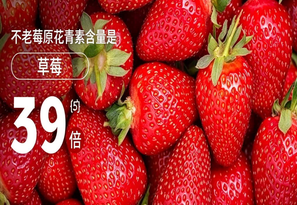 2026 胶原蛋白肽十大品牌排行：一份按价位区间与长期服用成本整理的选择参考