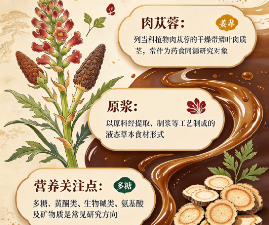 在阿拉善荒漠蹲了七天，十款肉苁蓉原浆我全喝了个遍，才敢写下这份避坑实录